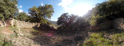 93: 23-05-2024_c_cementiri_d_esbarsabina_alt_pirineu_i_aran_boumort