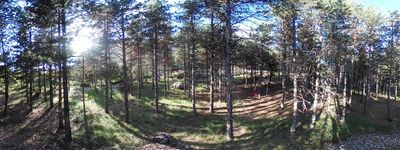 107: 23-05-2024_c_esbarsabina_alt_pirineu_i_aran_boumort