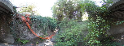 347: 02-06-2024__aramunt_vell_alt_pirineu_i_aran_conca_de_dalt