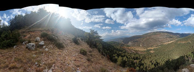 110: 31-08-2024__coma_d_orient_alt_pirineu_i_aran_boumort