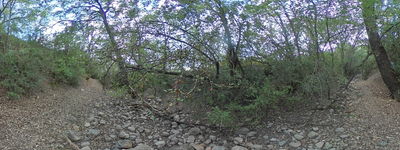 314: 01-09-2024_barranc_de_miret