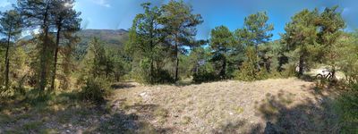 111: 11-09-2024__molina_de_carreu_alt_pirineu_i_aran_boumort