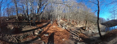 72: 12-01-2025_santa_fe_del_montseny