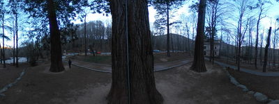 81: 12-01-2025_santa_fe_del_montseny_catalunya_central