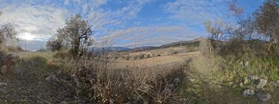 42: 20-01-2025__cami_de_sant_marti_a_claverol