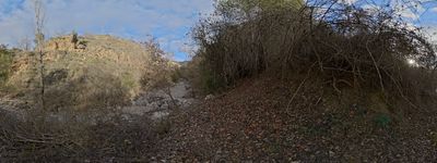 45: 20-01-2025__cami_de_sant_marti_a_claverol