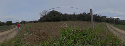 84: 26-01-2025__raco_de_sant_mamet_catalunya_central