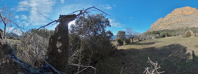 114: 30-01-2025_desarrocat_pessonada