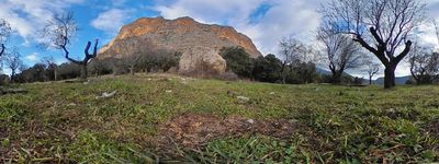 116: 01-02-2025__desarrocat_alt_pirineu_i_aran_boumort