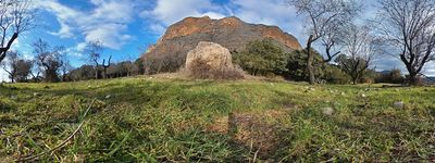 117: 01-02-2025__desarrocat