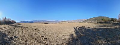 332: 06-02-2025_c_el_pui_de_l_anell