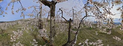 147: 24-02-2025_c_lo_seix_sant_marti_de_canals