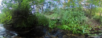 337: 09-06-2025_c_aramunt__font_de_pujol