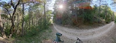 125: 18-06-2025__solana_de_santa_cristina