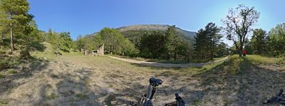 126: 18-06-2025__molina_de_carreu_alt_pirineu_i_aran_boumort