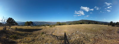 136: 29-07-2025__turo_de_passavent_alt_pirineu_i_aran_boumort