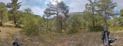 139: 13-08-2025__molina_de_carreu_alt_pirineu_i_aran_boumort