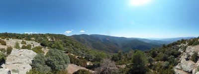 142: 23-08-2025__espla_muntanya_de_cuberes