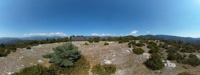 143: 23-08-2025__espla_muntanya_de_cuberes_alt_pirineu_i_aran_boumort