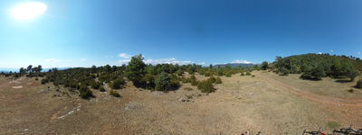 146: 23-08-2025__coll_de_solduga