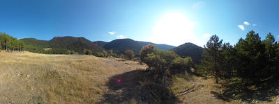 151: 23-08-2025__despoblat_de_cuberes