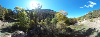 156: 11-10-2025_yp_molina_de_carreu_alt_pirineu_i_aran_boumort