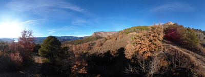 11: 24-12-2025__les_fonts