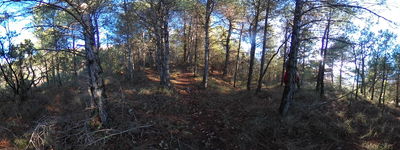 12: 24-12-2025__les_fonts