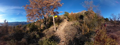 14: 24-12-2025__pla_de_la_torre