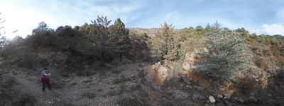 El Barranc A La Font de La Figuera