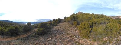 27: 09-02-2026_enfilem_amunt_per_sota_la_linia_electrica_de_pessonada