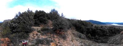 40: 09-02-2026_brancal_de_sant_joanet