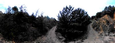 Brancal de Sant Joanet