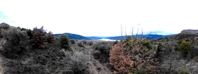 44: 09-02-2026_llau_dita_de_les_fonts