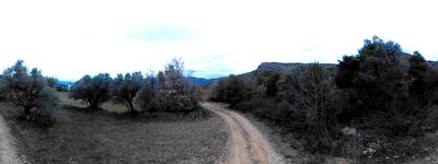 Sortida Del Sender Del Tarter