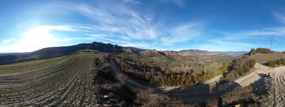 19: 25-02-2026_toralla