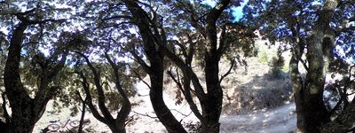 78: 02-03-2026_joncarlat