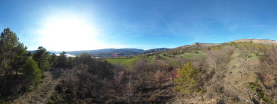 187: 16-03-2026_llau_de_llavaes