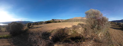 192: 16-03-2026_llau_de_llavaes