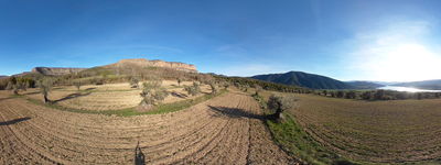 193: 16-03-2026_llau_de_llavaes