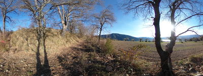 194: 16-03-2026_llau_de_llavaes