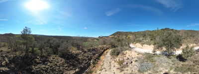 12: 202604061005r0011194_lloberola.jpg