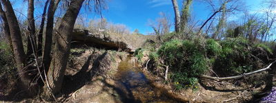 16: 202604061015r0011198_lloberola.jpg
