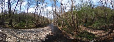 61: 18-04-2026__riera_major