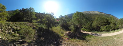 142: 202606240816r0011276_molina_de_carreu.jpg