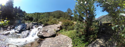 7: 202607090954r0011306_pla_de_boet.jpg